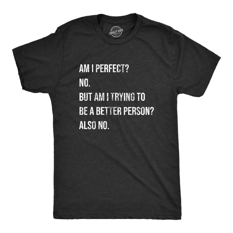 Am I Perfect No Men's T Shirt